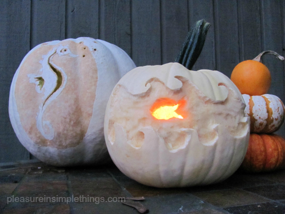 aaapumpkin1 coastal pumpkins