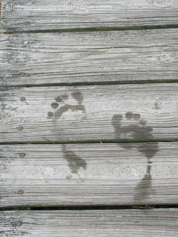 photo of wet footprints at the beach