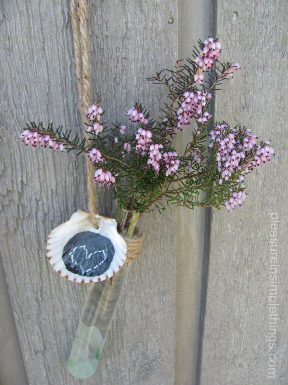 may day coastal flowers
