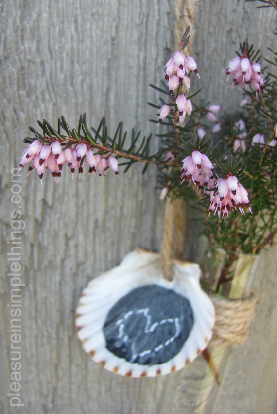 May Day coastal flower