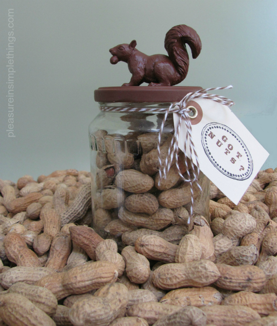 squirrel gift jar