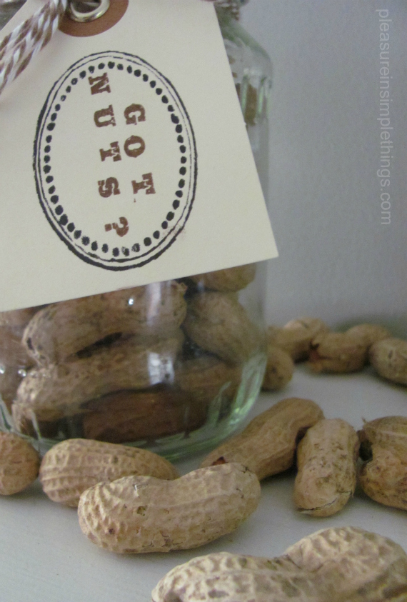 easy to make squirrel jar