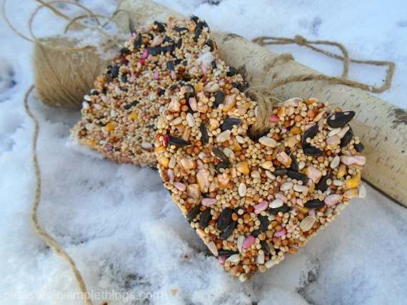 Bird Feeder Diy Valentine Gift Pleasure In Simple Things