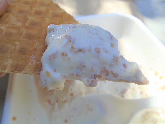 jeni’s ice cream — pleasure in simple things